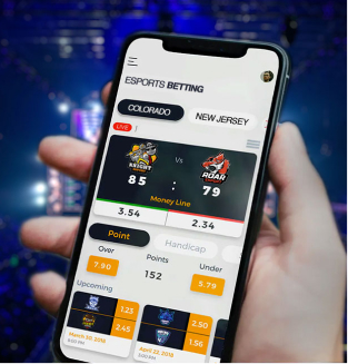Esports Betting Platforms
