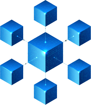 Blockchain Networks